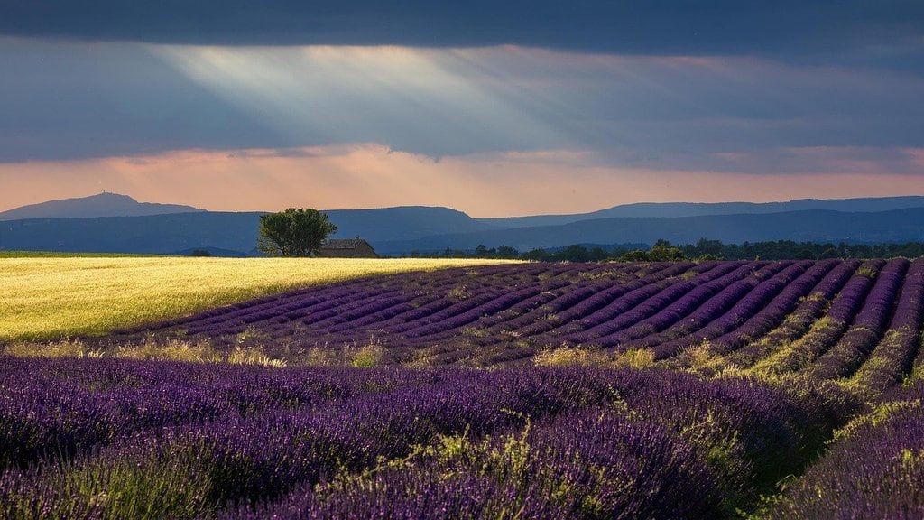 Que faire pendant vos vacances à Aix en Provence